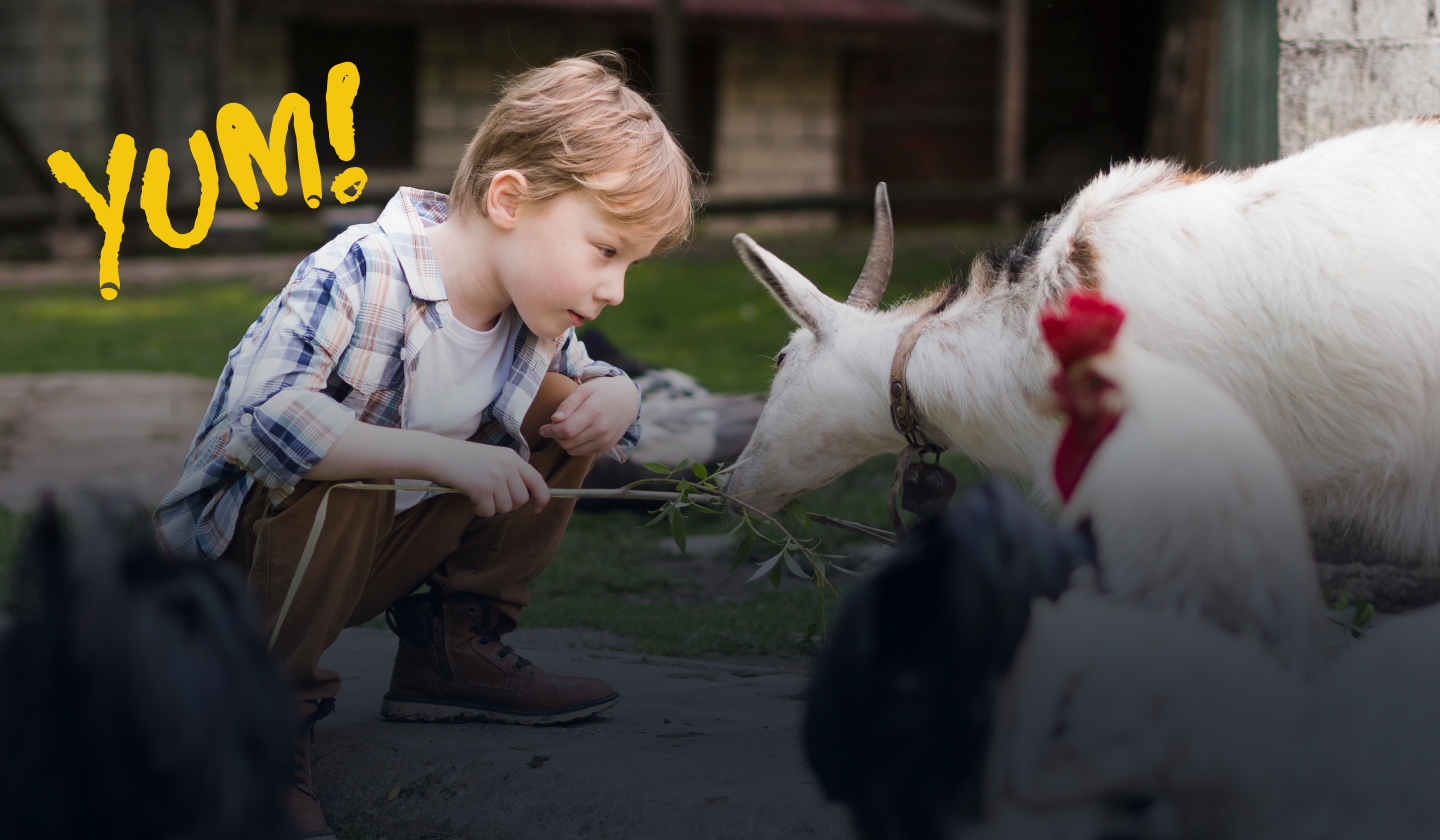 Animal Feeding Hover